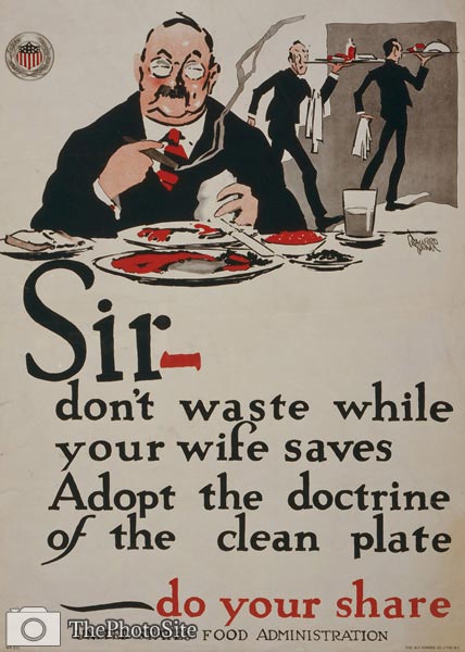 Sir - don't waste while your wife saves - World War I Poster - Click Image to Close