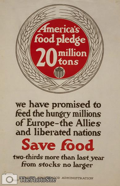 America's food pledge, 20 million tons World War I Poster - Click Image to Close