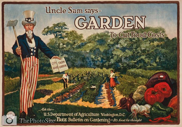 Uncle Sam says - garden to cut food costs. World War One Poster - Click Image to Close