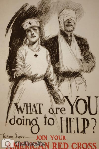 What are you doing to help? US WWI Poster - Click Image to Close