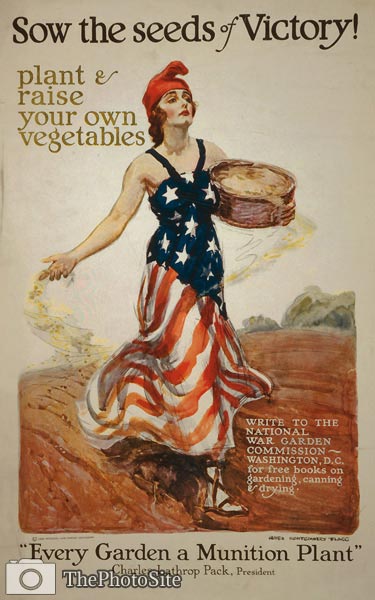 Sow the seeds of victory! Grow your own WWI Poster - Click Image to Close