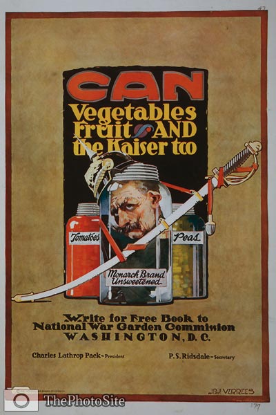 Can vegetables, fruit, and the Kaiser too WWI Poster - Click Image to Close