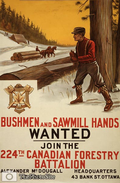224th Canadian Forestry Battalion War Poster - Click Image to Close