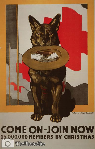 Dog holding hat in mouth Poster - Click Image to Close