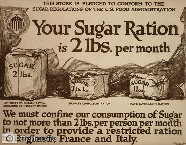 Your sugar ration is 2 lbs. per month War Poster - Click Image to Close