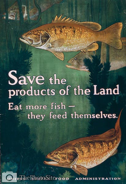 Fish swimming among seaweed WWI Poster - Click Image to Close