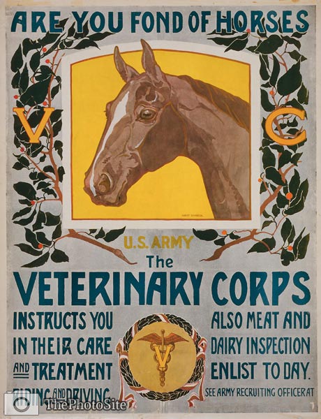 Are you fond of horses Veterinary Corps War Poster - Click Image to Close