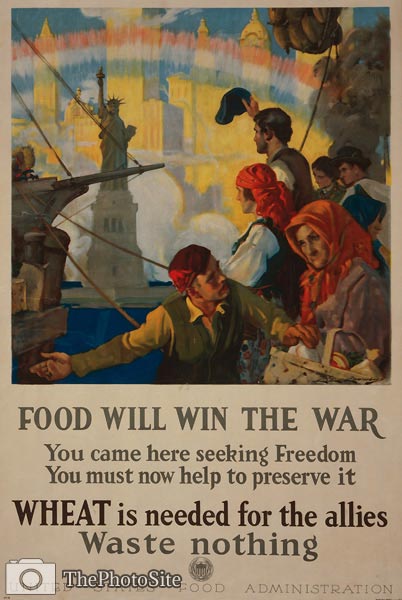 Immigrants arriving in New York World War I Poster - Click Image to Close