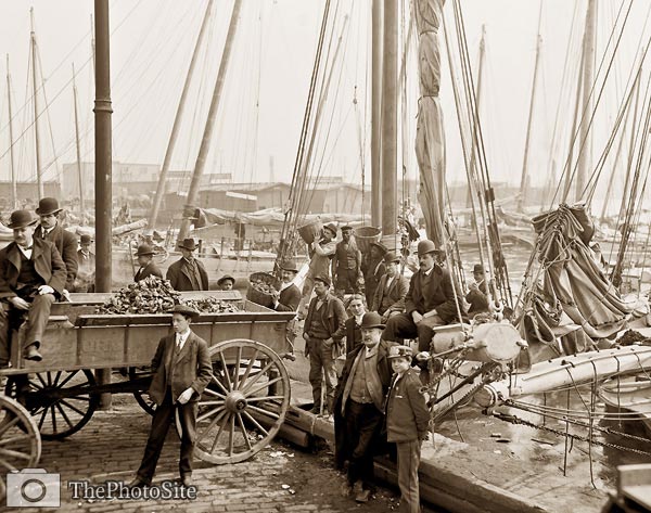 Unloading oyster luggers, Baltimore, Maryland 1905 - Click Image to Close