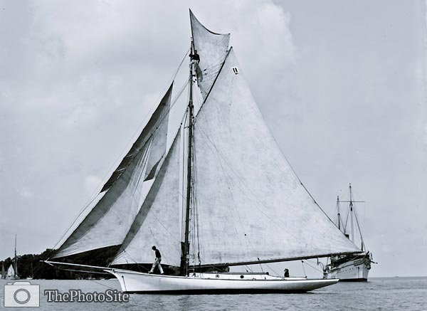 Alice Enright Yacht between 1890 and 1905 - Click Image to Close