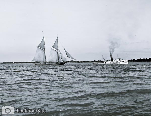 Steamer, Tugboat, Yacht Gladiator Schooner and Tow - Click Image to Close