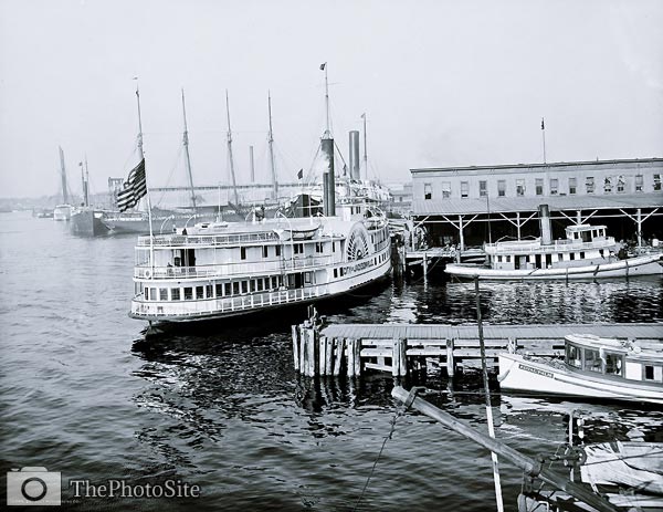 The Docks, Jacksonville, Florida, Stern Wheeler - Click Image to Close