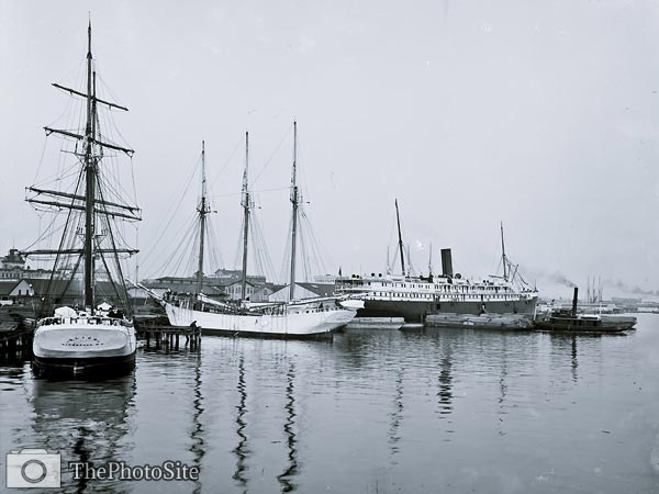 Alice Liverpool and Frances Weymouth ships Florida 1904 - Click Image to Close