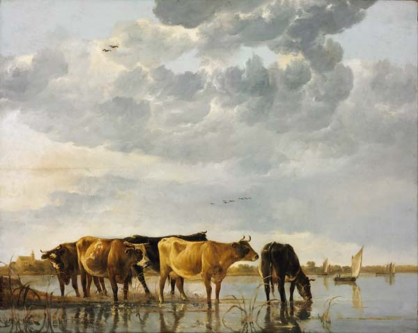Cows in a River - Click Image to Close