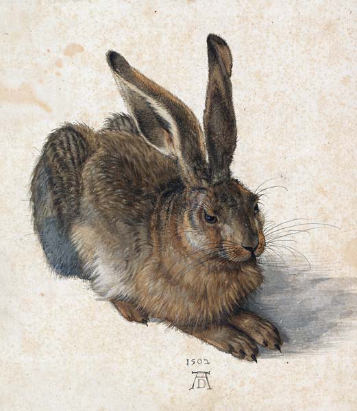 Hare - Click Image to Close