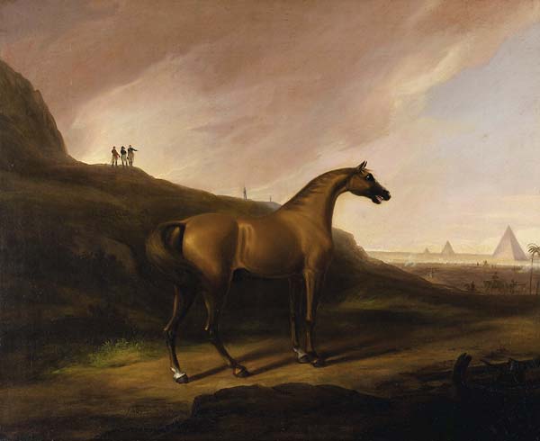 Napoleon's Horse - Click Image to Close
