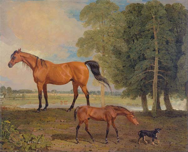 Broodmare with Foal, and a Terrier - Click Image to Close
