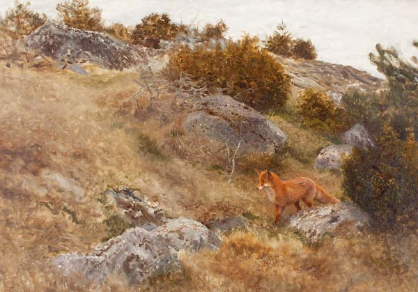 Autumn landscape with fox - Click Image to Close