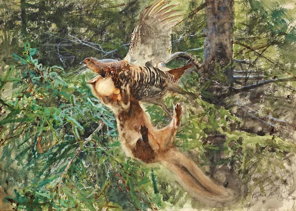 Forest scene with pine marten attacking a Black Grouse Hen - Click Image to Close