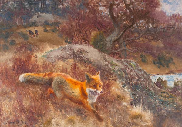 Fox with hounds - Click Image to Close