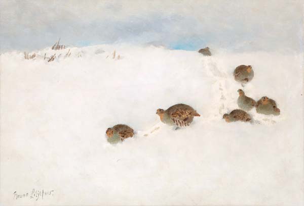 Partridges in snow - Click Image to Close
