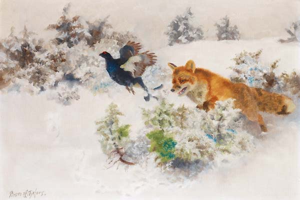 Winter landscape with Fox and Black Grouse - Click Image to Close