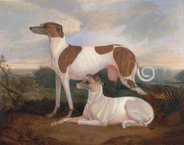 Two Greyhounds in a Landscape - Click Image to Close