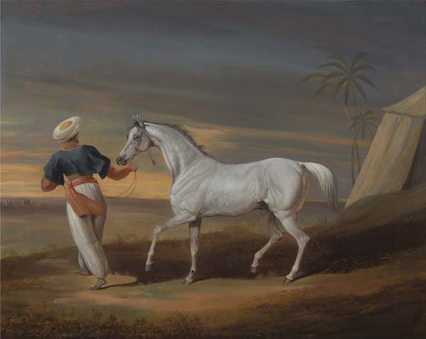 Signal, a Grey Arab, with a Groom in the Desert - Click Image to Close