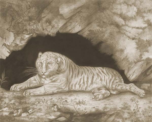 A Tiger Lying in the Entrance of a Cave - Click Image to Close