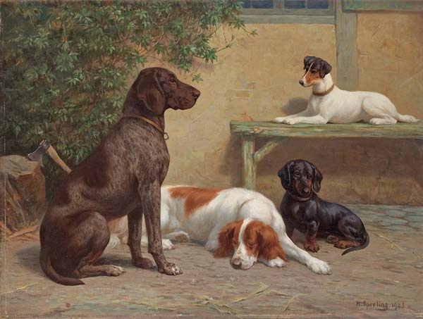 Group of dogs - Click Image to Close