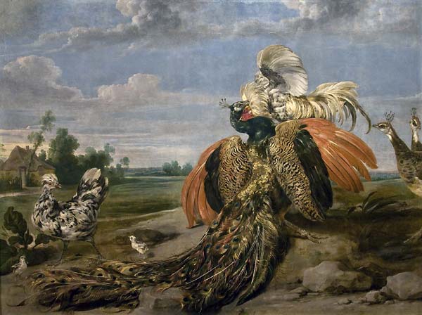 Peacock and Cock Fighting - Click Image to Close