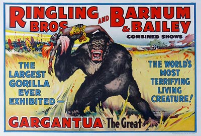 Barnum & Bailey Largest Gorilla ever Exhibited Poster