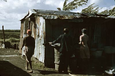 Tin shack, African American workers Florida 1941