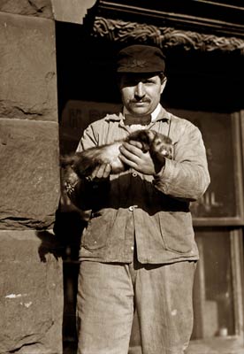 Rat catcher holding prized ferret, New York