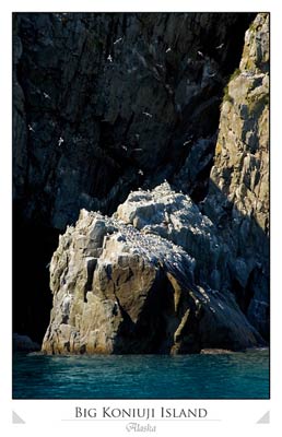 Big Koniuji Island bird cliffs
