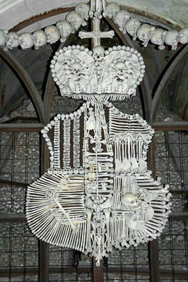 Bone shield decoration