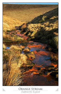 Flowing Orange Stream