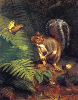 How Beautiful, Squirrel by William Beard