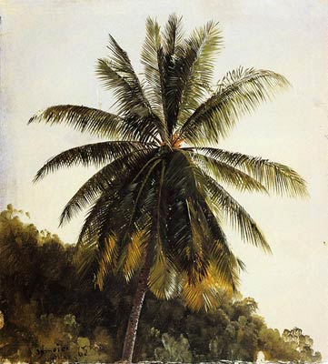 Palm Trees, West Indies Frederic Edwin Church