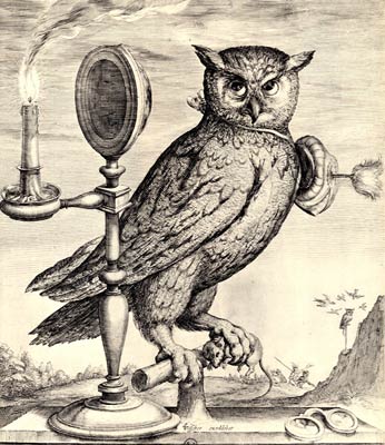 Owl by Johann Bernhard Fischer
