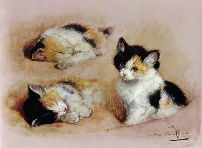 Studies of a kitten Henriette Ronner-Knip