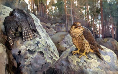 Hawks in the Forest Eero Jarnefelt