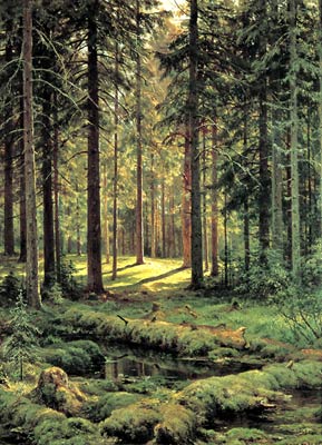 Coniferous Forest. Sunny Day Shishkin, Ivan Ivanovich