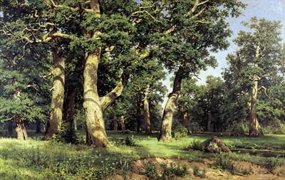 The Oak Grove Shishkin, Ivan Ivanovich