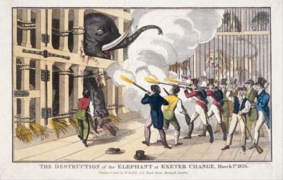 The Destruction of the Elephant destroyed at Exeter 'Change'