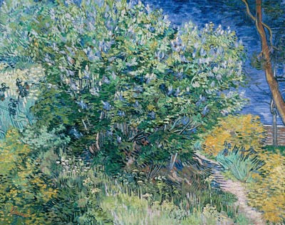 Lilac Bush Vincent van Gogh
