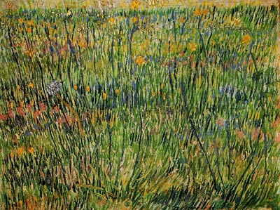 Pasture in Bloom Vincent Van Gogh