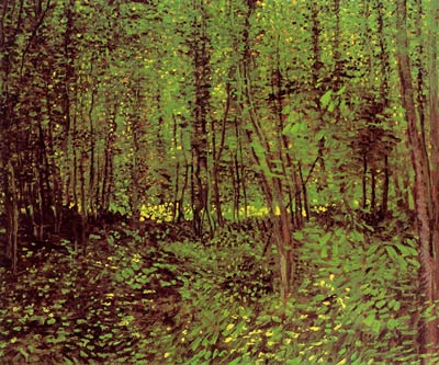 Trees and Undergrowth Vincent Van Gogh