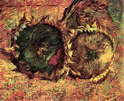 Two Cut Sunflowers Vincent Van Gogh