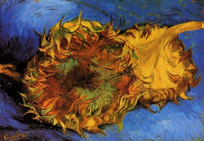 Two Cut Sunflowers Van Gogh